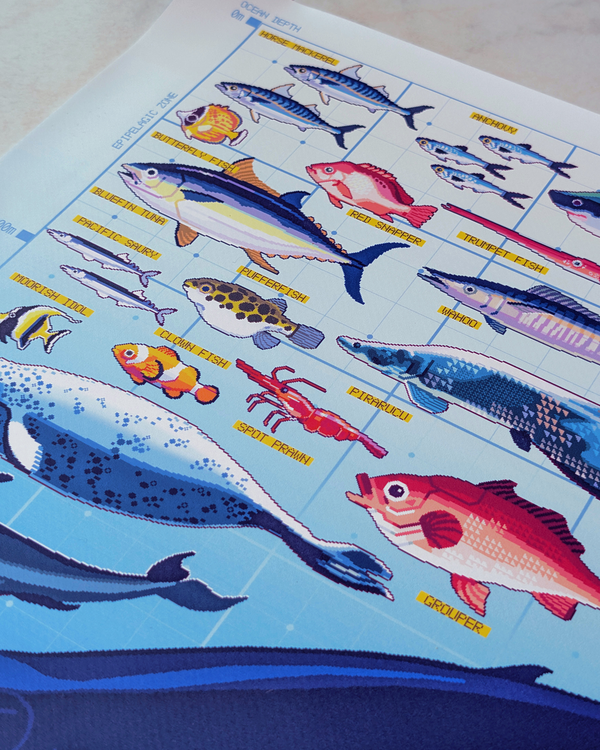 Marine Directory Print
