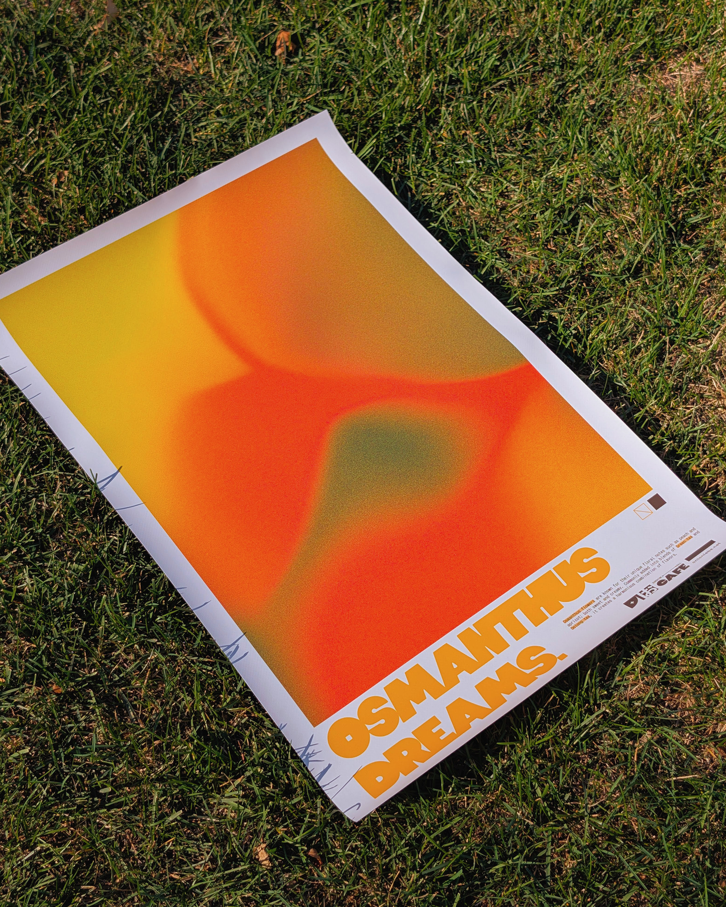 Osmanthus Dreams Print